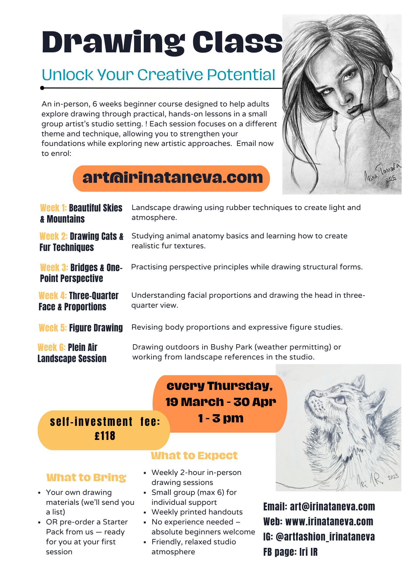 foundations of Drawing adult class 1 Irina Taneva drawing class for adults Kingston Surbiton Chessington Thames Ditton, Leatherhead, Claygate, Esher, Ewell, Epsom, Tolworth, New Malden Irina Taneva professional teacher and artist